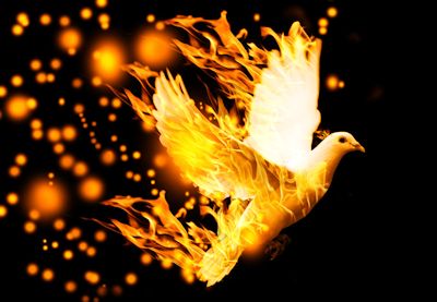 The Refiner’s Fire