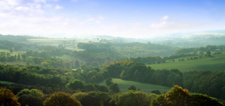 Rewards and Sacrifice