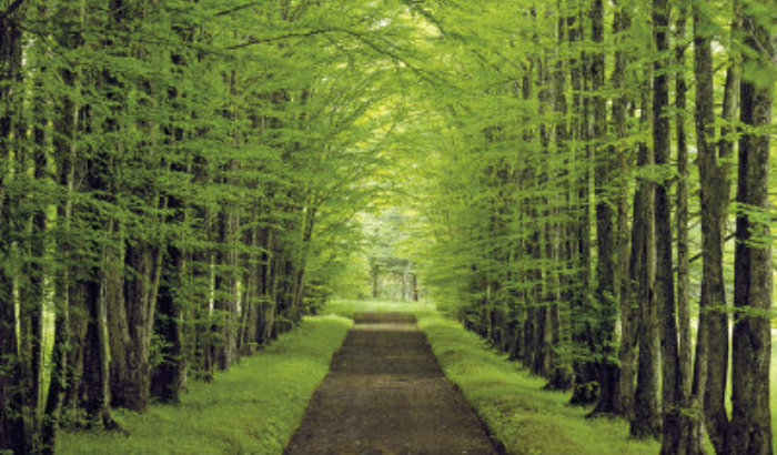 Prepared for God’s Plan