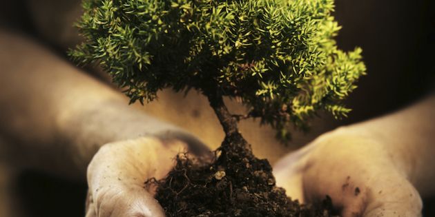 Why Doesn’t God Move in Some Churches?