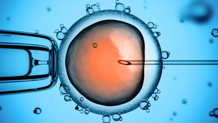 Ethics: Abortion and Stem Cell Research