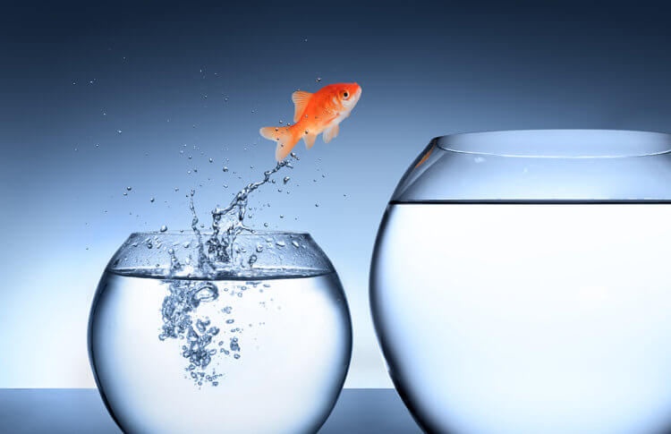 Election Means Change