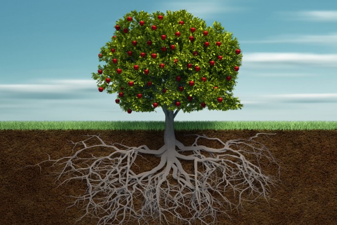 Am I a Genuine Christ-follower?