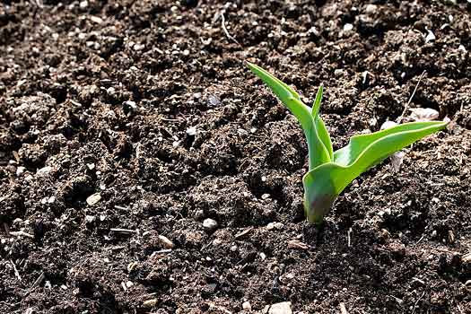 Grace is Deeper Than Mere Salvation