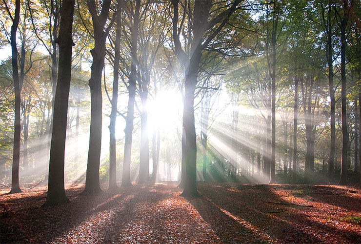 I Am Unable To Worship God