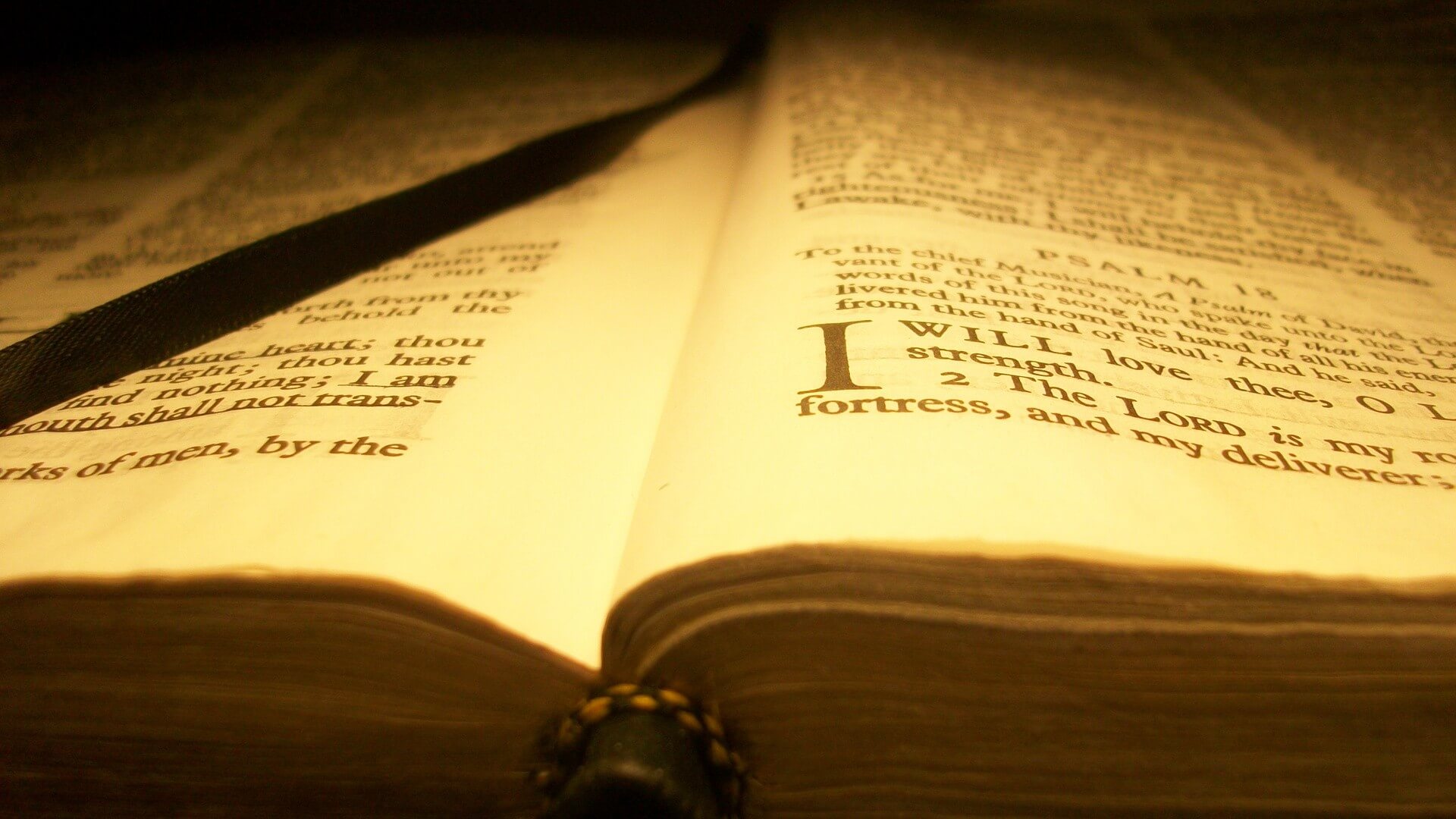 The Importance (Necessity) of Scripture
