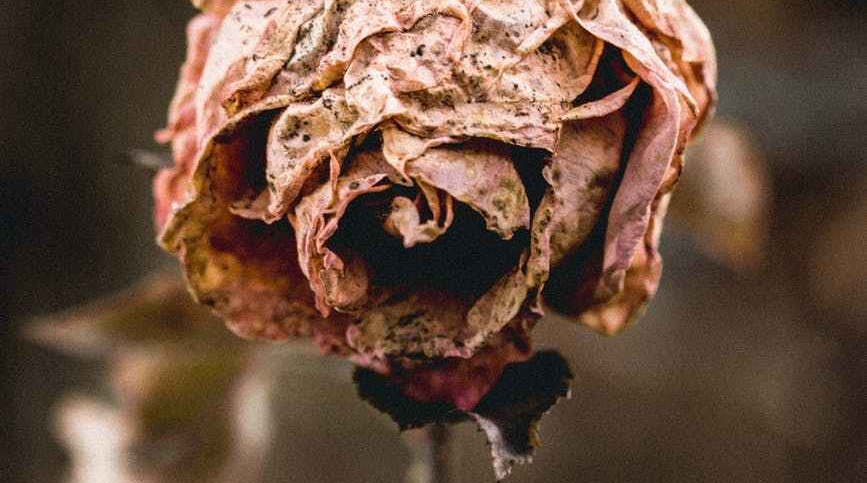 What is Fasting? Why is fasting? Can You Ruin Your Witness?