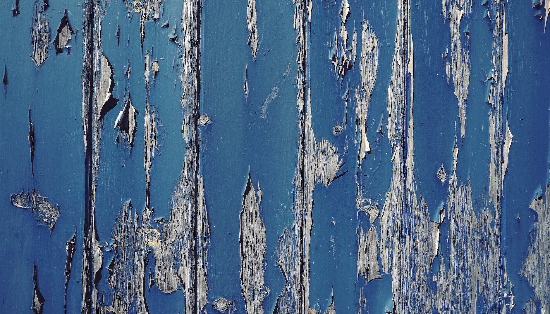 Daily Devotional: Exodus 7:1-7