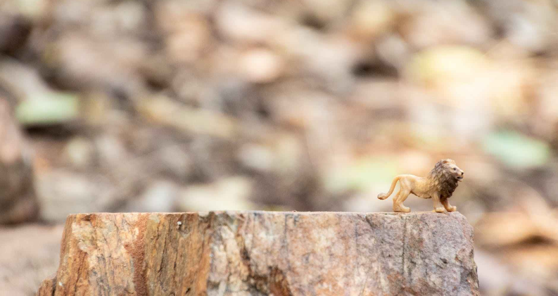 You Can’t Make Christ Lord of Your Life