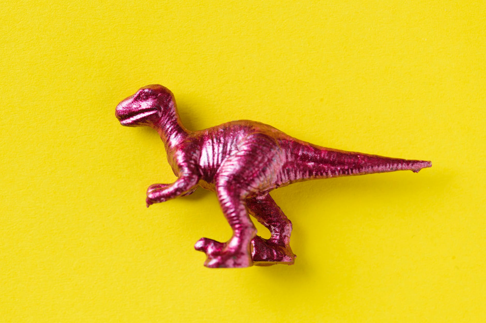 Why Did God Create Dinosaurs?