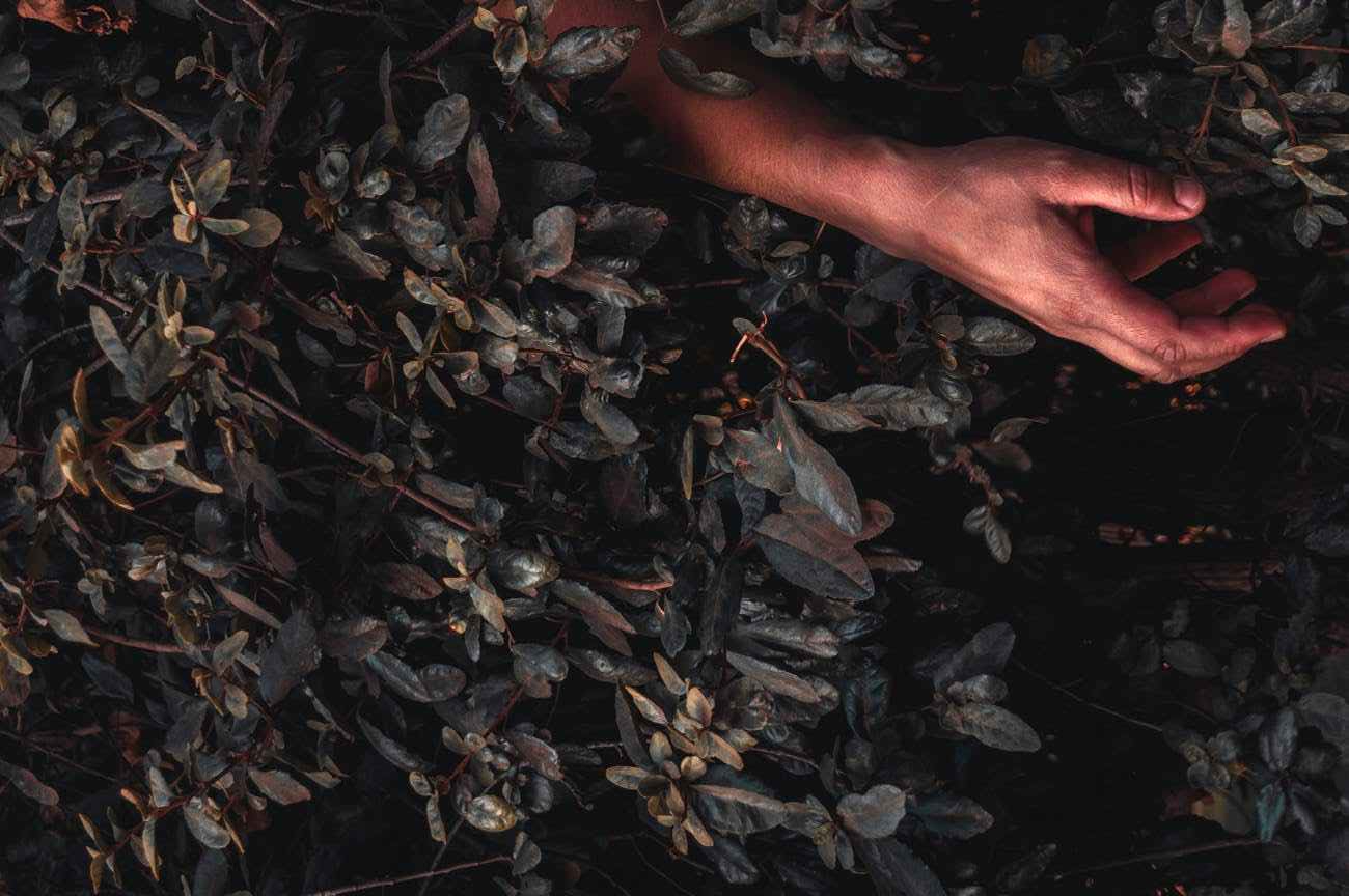 I Can’t Do All Things Through Him Who Gives Me Strength