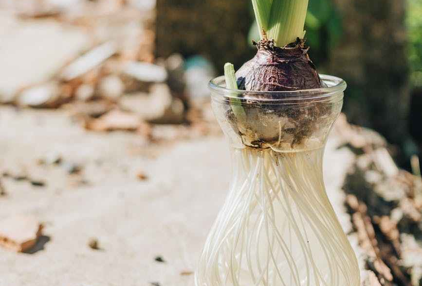 If Salvation is By Grace Alone, Why Are There Requirements?