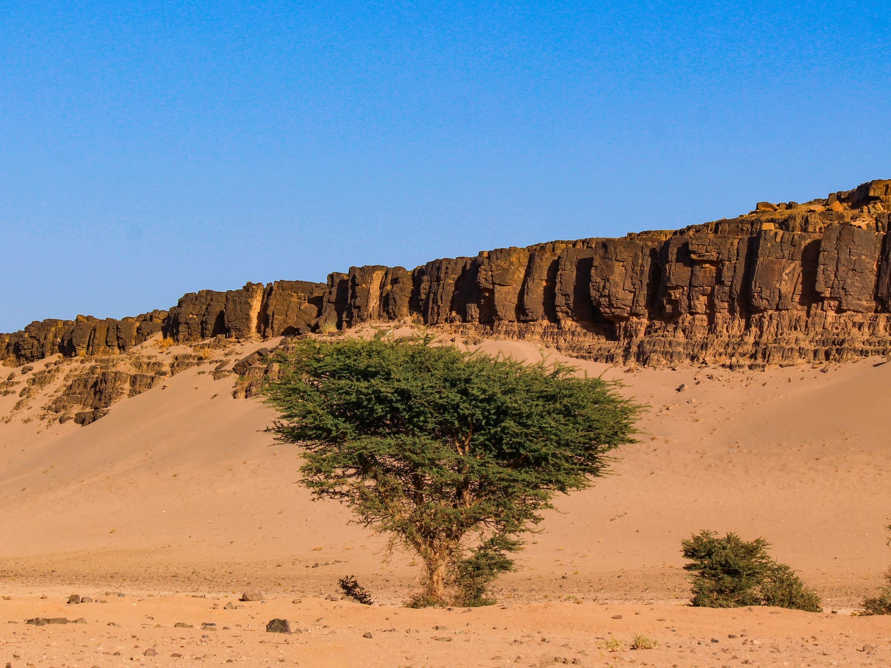 On Men and Women: Considering Mosaic Law