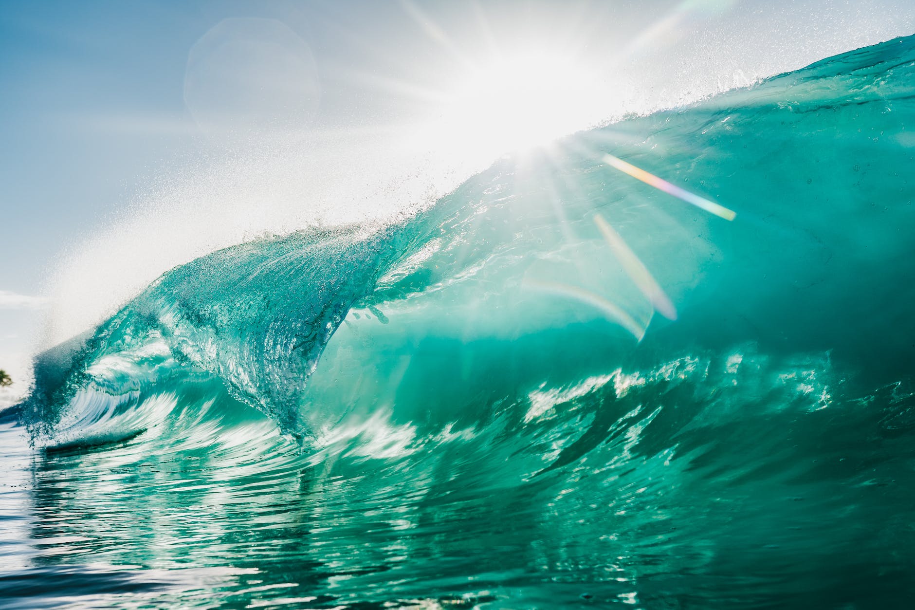 The Scourge of Calvinism: Pt. 1 The Unnecessary Conflict